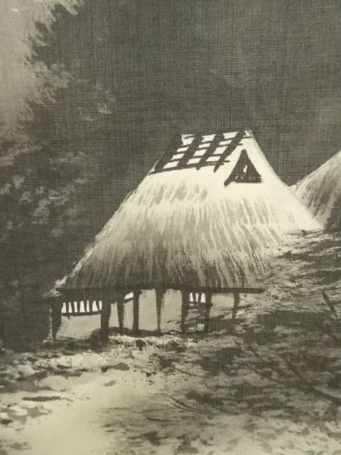 可寛菴竹眞 筆 四葉之内 瀧　竹　松柏　菊　掛け軸　真作　肉筆　骨董品 可寛菴竹眞 筆 四葉之内 瀧竹松柏菊掛け軸真作肉筆骨董品